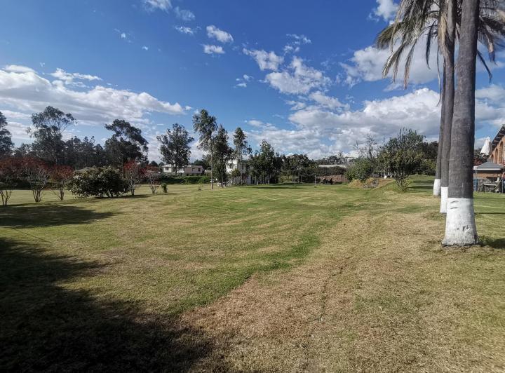 Vendo 1.881 m² Cerca del Colegio Highlands en Puembo — imagen 4