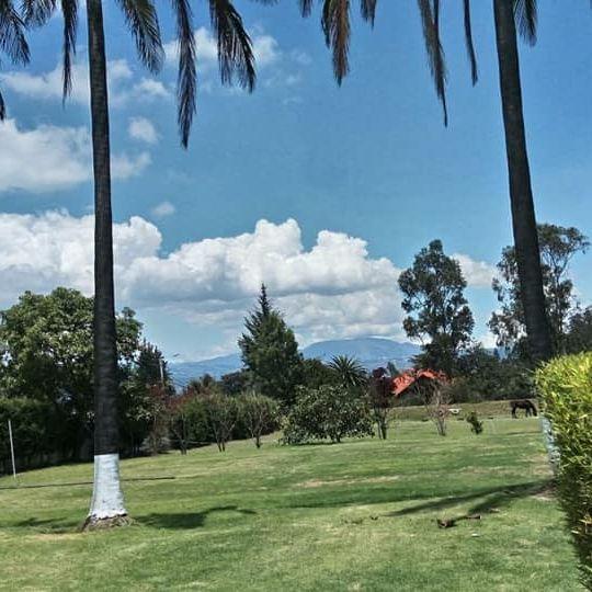 Vendo 1.881 m² Cerca del Colegio Highlands en Puembo — imagen 2
