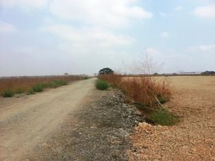 Venta de Terreno Industrial 3220 m² de Alto Impacto Zi3 en Durán Tambo, Medidas 27x119. Guayas — imagen 7