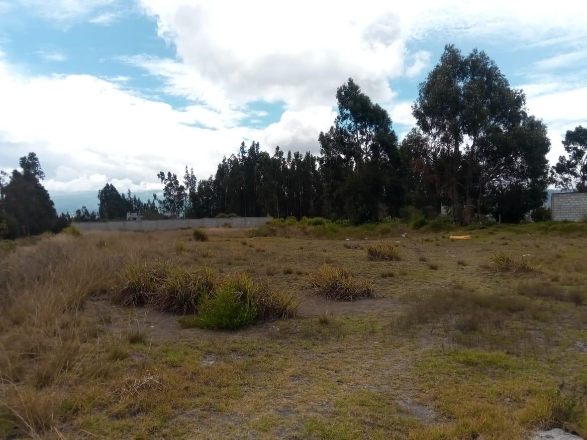 Terreno 5210 Mtrs Junto Al Ecu 911, Tungurahua — imagen 4