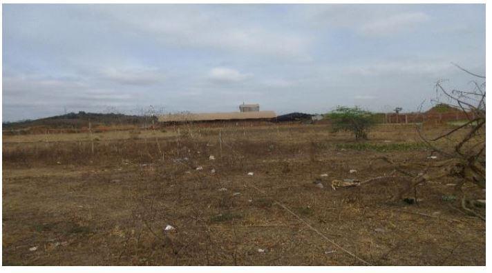 Venta de Terreno, Km 30 Vía a Daule, Lote #5, Guayas — imagen 8
