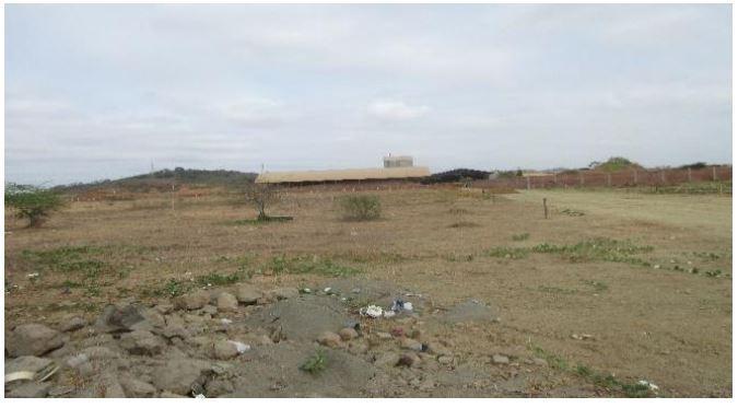 Venta de Terreno, Km 30 Vía a Daule, Lote #5, Guayas — imagen 7