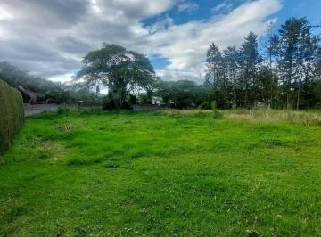 Terreno de 2364 m² en Venta en Urb. Arrayanes, Puembo — imagen 4