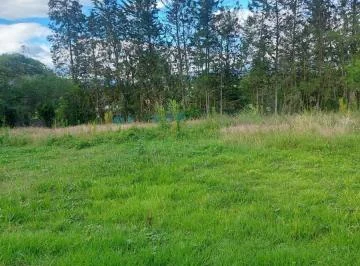Terreno de 2364 m² en Venta en Urb. Arrayanes, Puembo — imagen 3