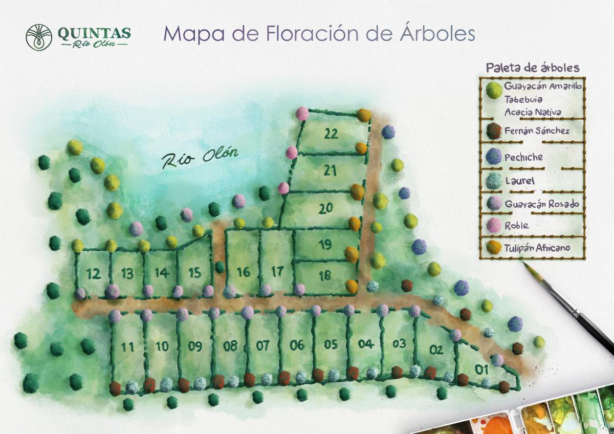 Venta de Terreno en Quintas Río Olón — imagen 6
