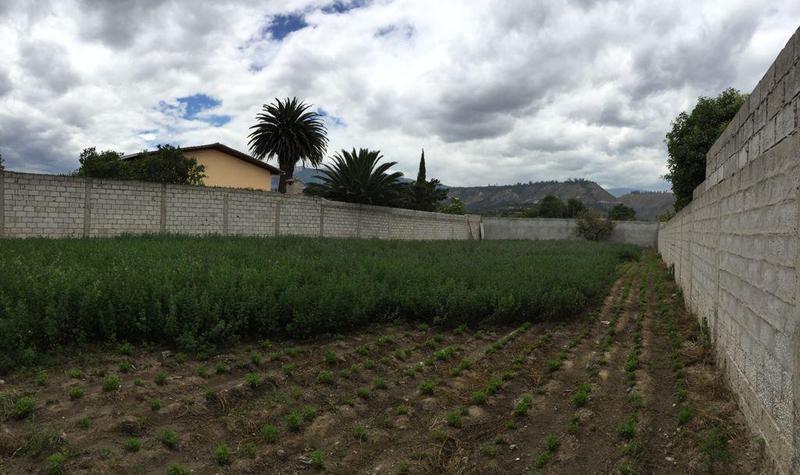 Vendo Terreno Guayllabamba, Detrás del Típico Locro — imagen 9