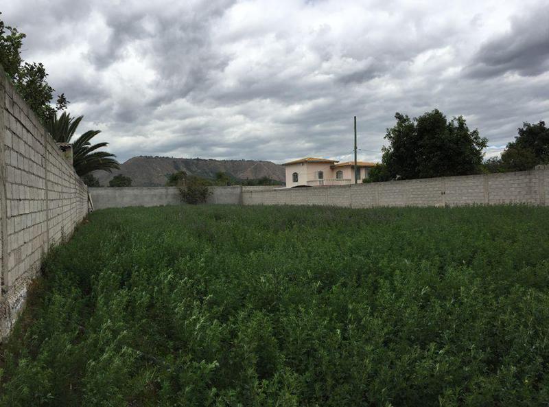 Vendo Terreno Guayllabamba, Detrás del Típico Locro — imagen 7