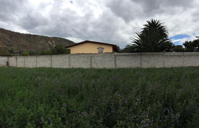 Vendo Terreno Guayllabamba, Detrás del Típico Locro — imagen 5
