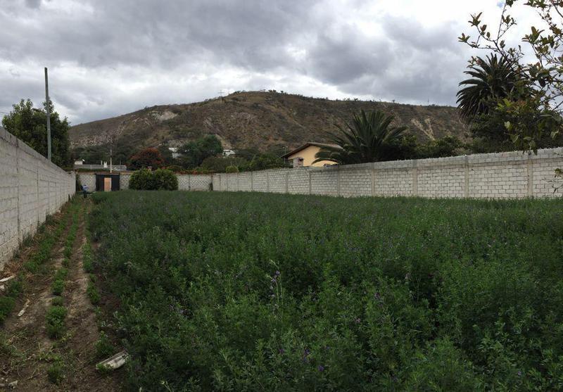 Vendo Terreno Guayllabamba, Detrás del Típico Locro — imagen 4