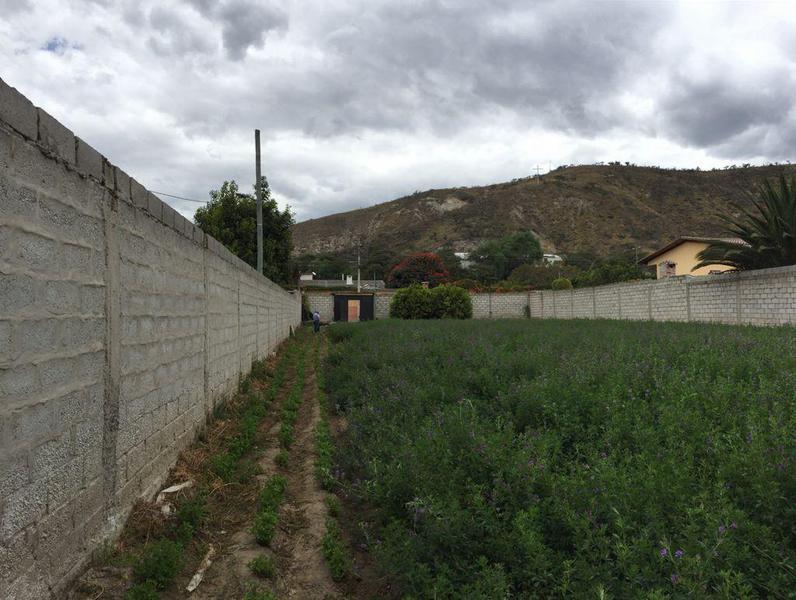 Vendo Terreno Guayllabamba, Detrás del Típico Locro — imagen 3