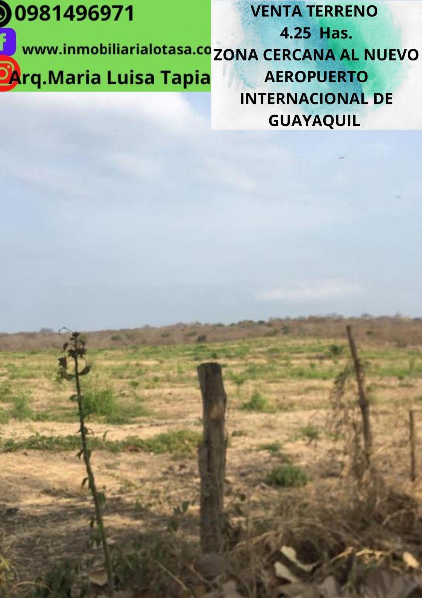 Venta Terreno 4.25 Has Via a La Costa Km 24 Sector Chongon. Guayas — imagen 10