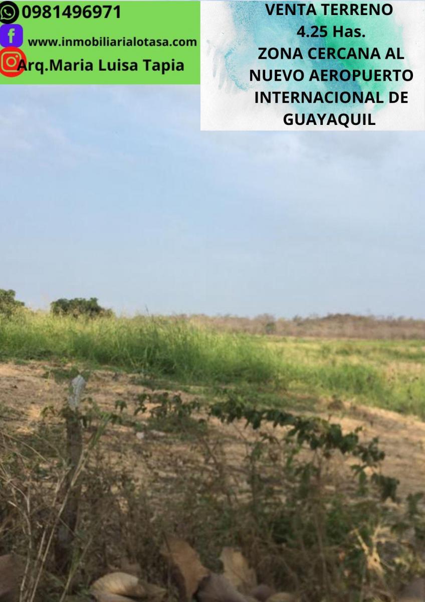 Venta Terreno 4.25 Has Via a La Costa Km 24 Sector Chongon. Guayas — imagen 9