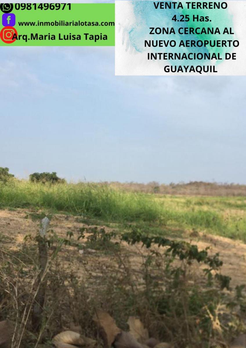 Venta Terreno 4.25 Has Via a La Costa Km 24 Sector Chongon. Guayas — imagen 8