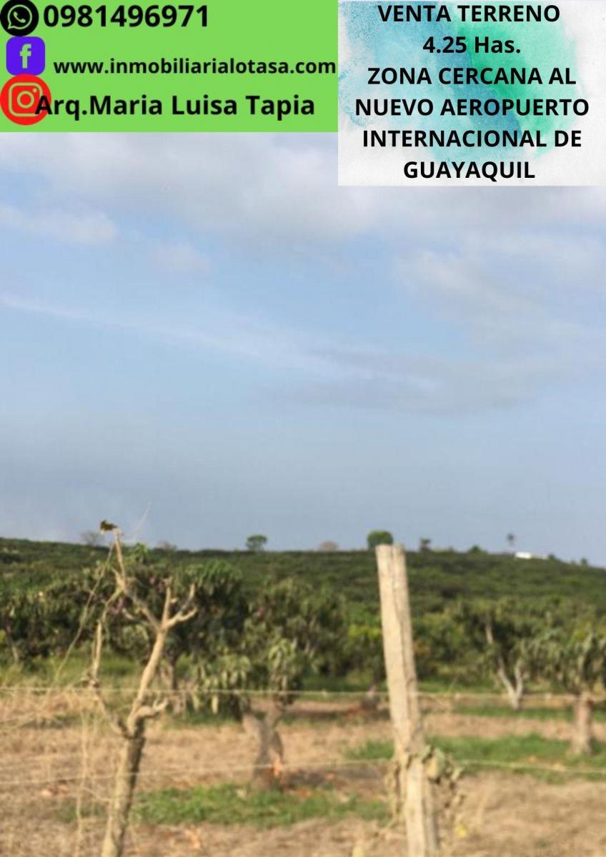 Venta Terreno 4.25 Has Via a La Costa Km 24 Sector Chongon. Guayas — imagen 7