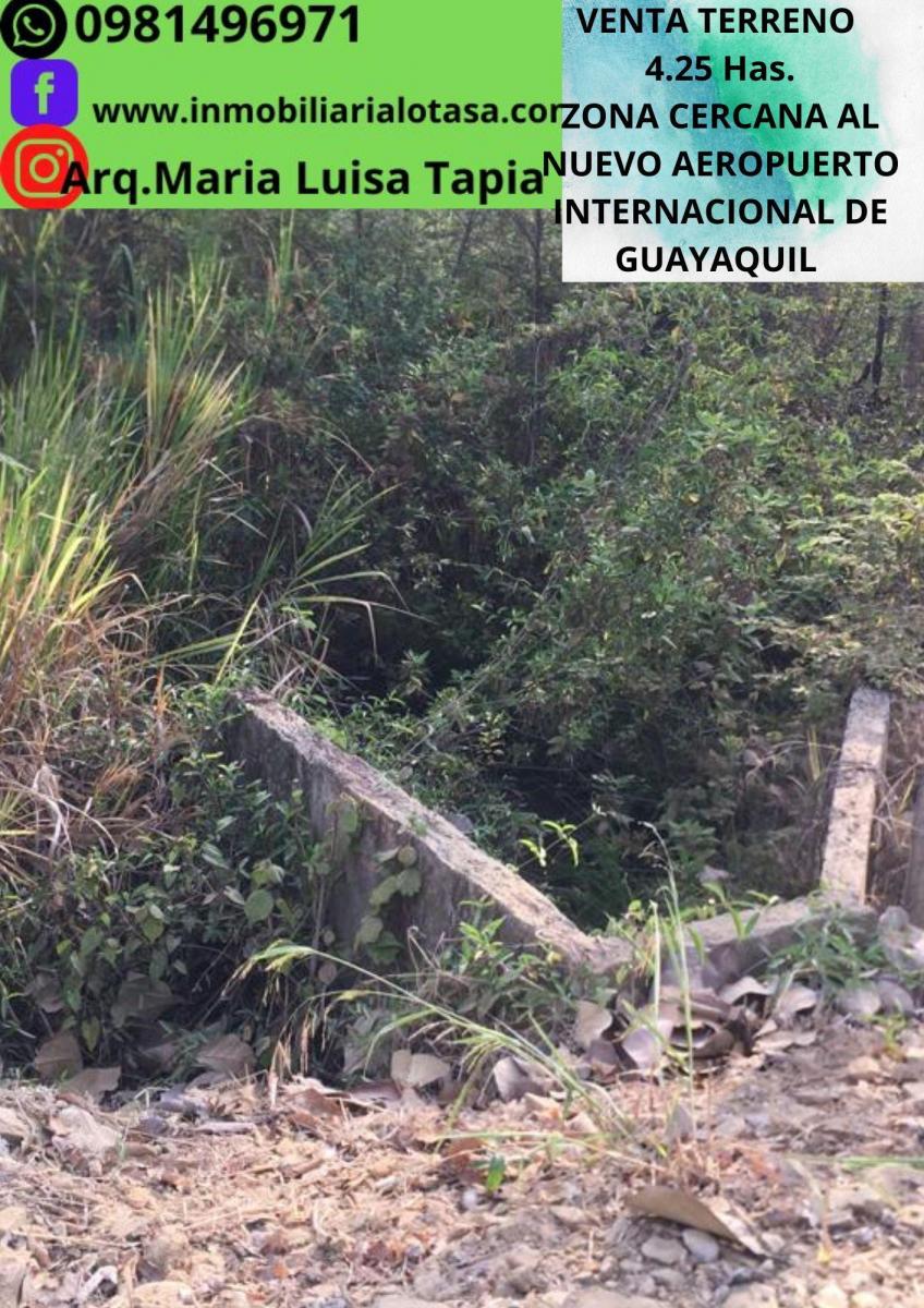 Venta Terreno 4.25 Has Via a La Costa Km 24 Sector Chongon. Guayas — imagen 6