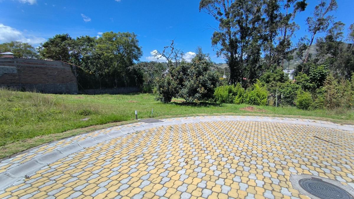 En Venta Lote Dentro de Urbanizacion de 603 m² en La Morita - Tumbaco — imagen 10