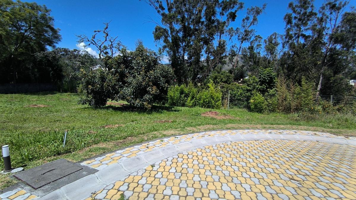 En Venta Lote Dentro de Urbanizacion de 603 m² en La Morita - Tumbaco — imagen 7