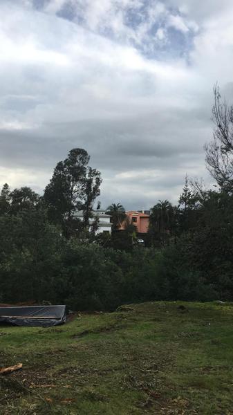Increíble Terreno en Tabablea 800.000usd Negociable! — imagen 2