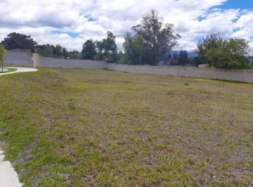 Puembo — imagen 5