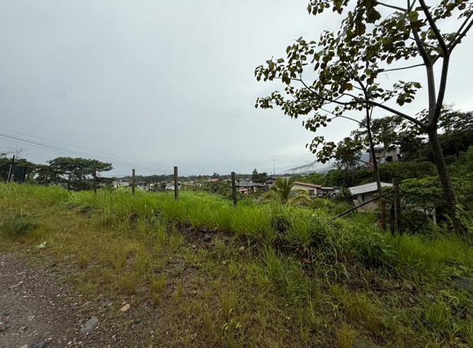 Lote en Venta, Parroquia Lumbaqui Cantóm Gonzalo Pizarro - Sucumbios — imagen 10