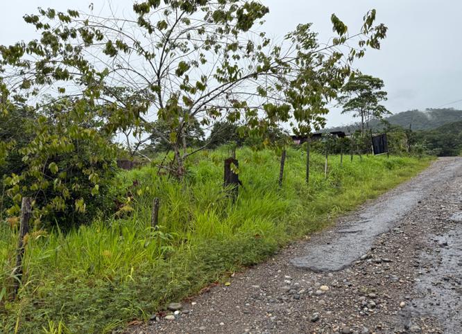 Lote en Venta, Parroquia Lumbaqui Cantóm Gonzalo Pizarro - Sucumbios — imagen 8