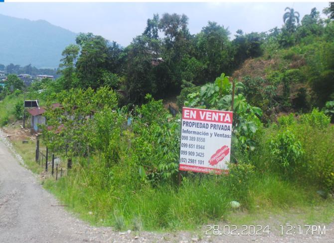 Lote en Venta, Parroquia Lumbaqui Cantóm Gonzalo Pizarro - Sucumbios — imagen 6