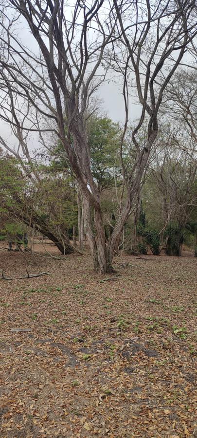 Playa Escondida Hermoso Terreno en Lotización Ecológica — imagen 8