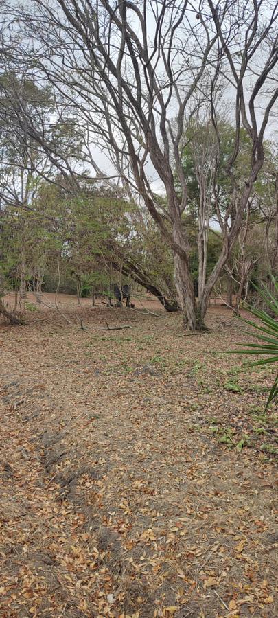 Playa Escondida Hermoso Terreno en Lotización Ecológica — imagen 7