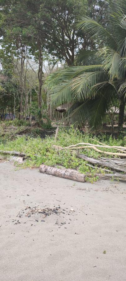 Playa Escondida Hermoso Terreno en Lotización Ecológica — imagen 2