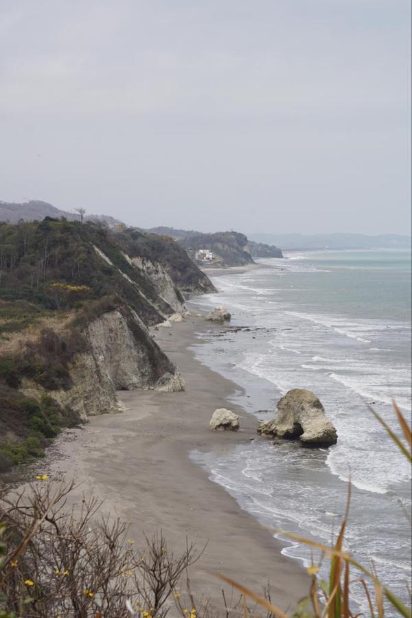 Espectacular Terreno de Venta Entre Jama y Pedernales, Manabí — imagen 8