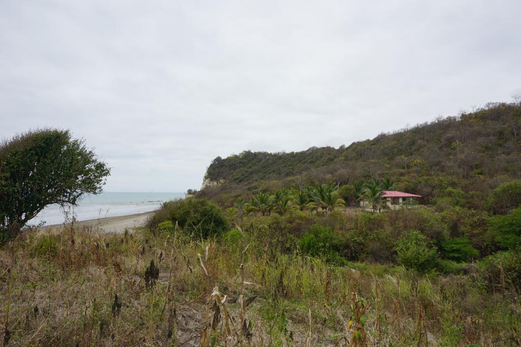 Espectacular Terreno de Venta Entre Jama y Pedernales, Manabí — imagen 7