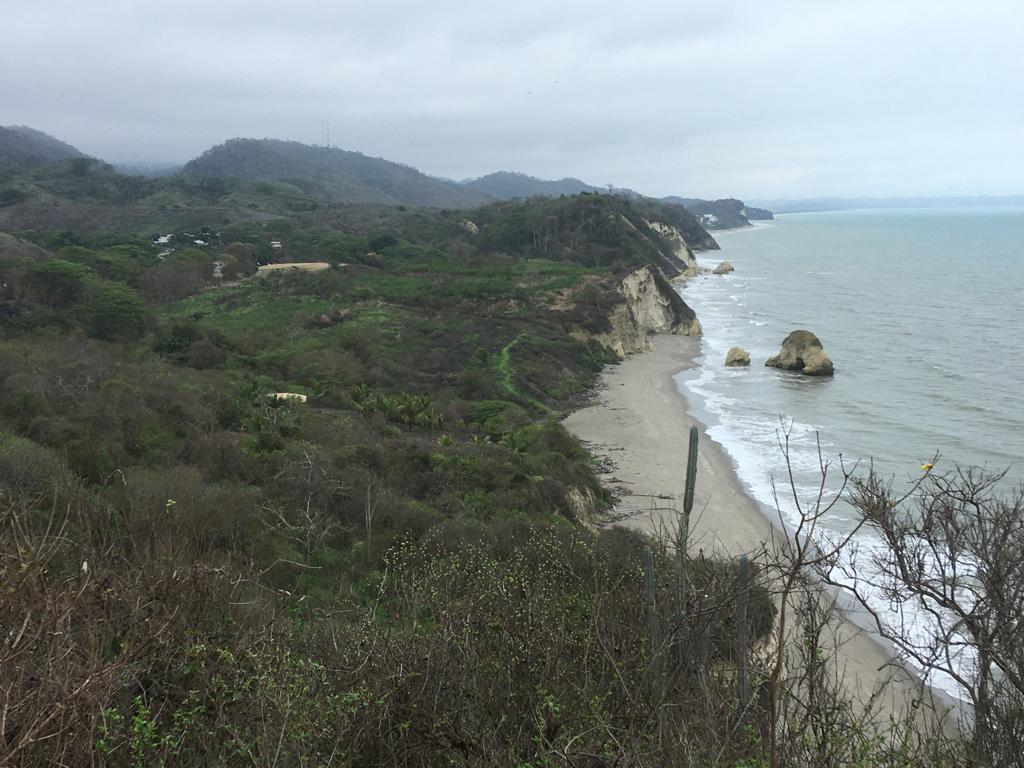 Espectacular Terreno de Venta Entre Jama y Pedernales, Manabí — imagen 6