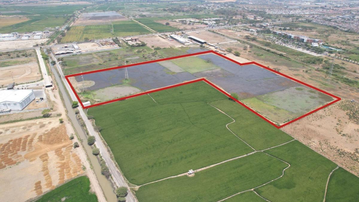 Venta de Terreno en Buijo Cantón Samborondón - H. Rios, Guayas — imagen 8