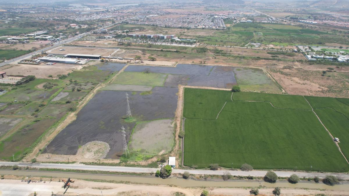 Venta de Terreno en Buijo Cantón Samborondón - H. Rios, Guayas — imagen 7