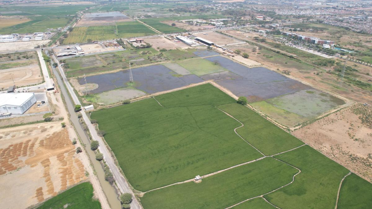 Venta de Terreno en Buijo Cantón Samborondón - H. Rios, Guayas — imagen 6