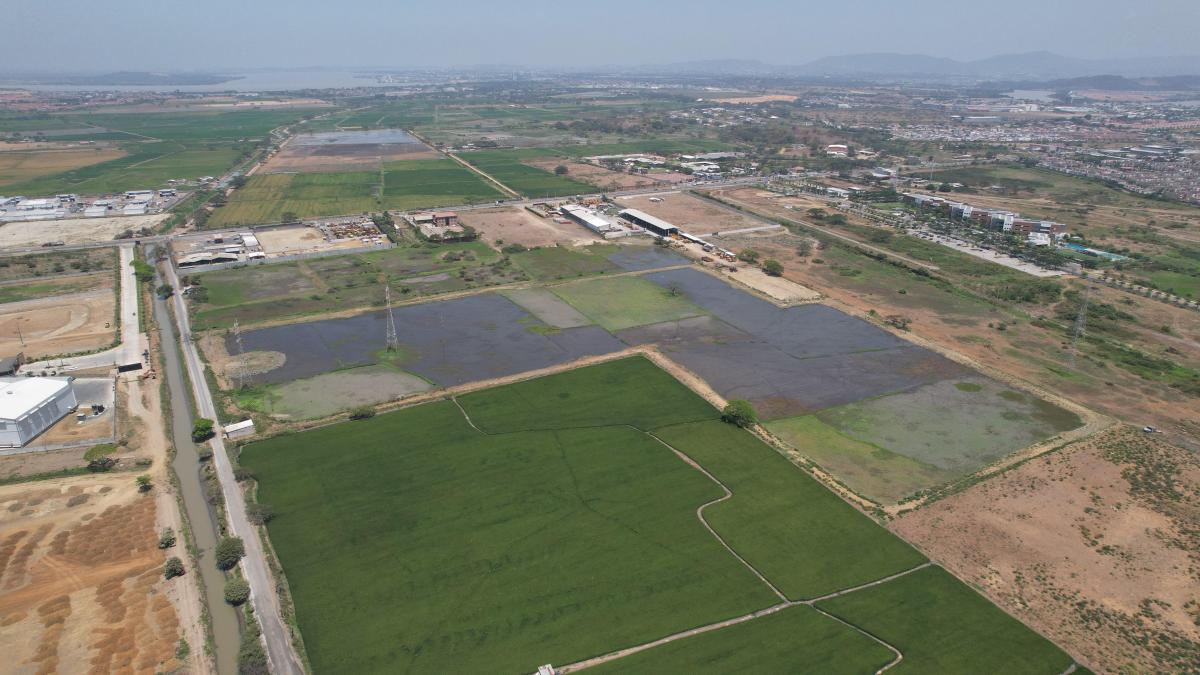 Venta de Terreno en Buijo Cantón Samborondón - H. Rios, Guayas — imagen 2