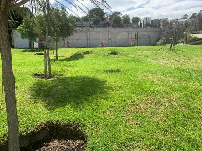Vendo Terreno de 8300 m² en Sector La Morita en Tumbaco y Construcción — imagen 10