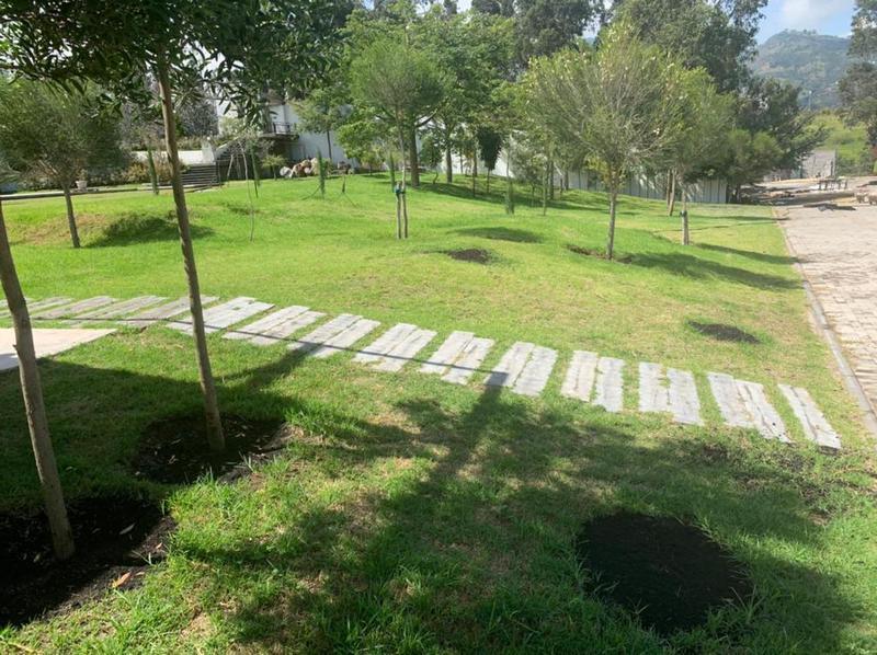 Vendo Terreno de 8300 m² en Sector La Morita en Tumbaco y Construcción — imagen 7