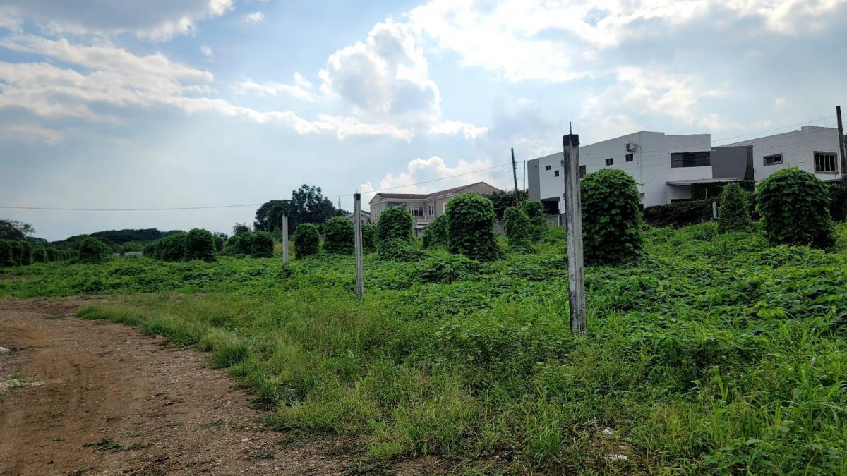 En Venta Terreno de 130.818 m en Vía a La Costa - Km 15 - Mae. Recalde, Guayas — imagen 9