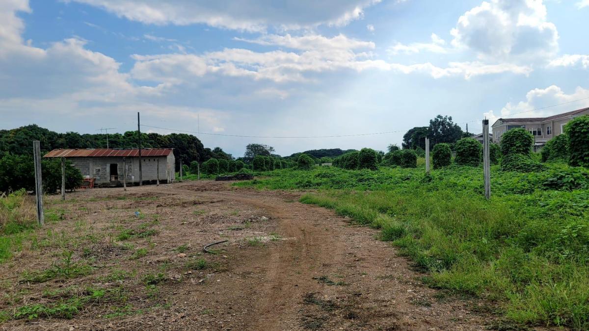 En Venta Terreno de 130.818 m en Vía a La Costa - Km 15 - Mae. Recalde, Guayas — imagen 8