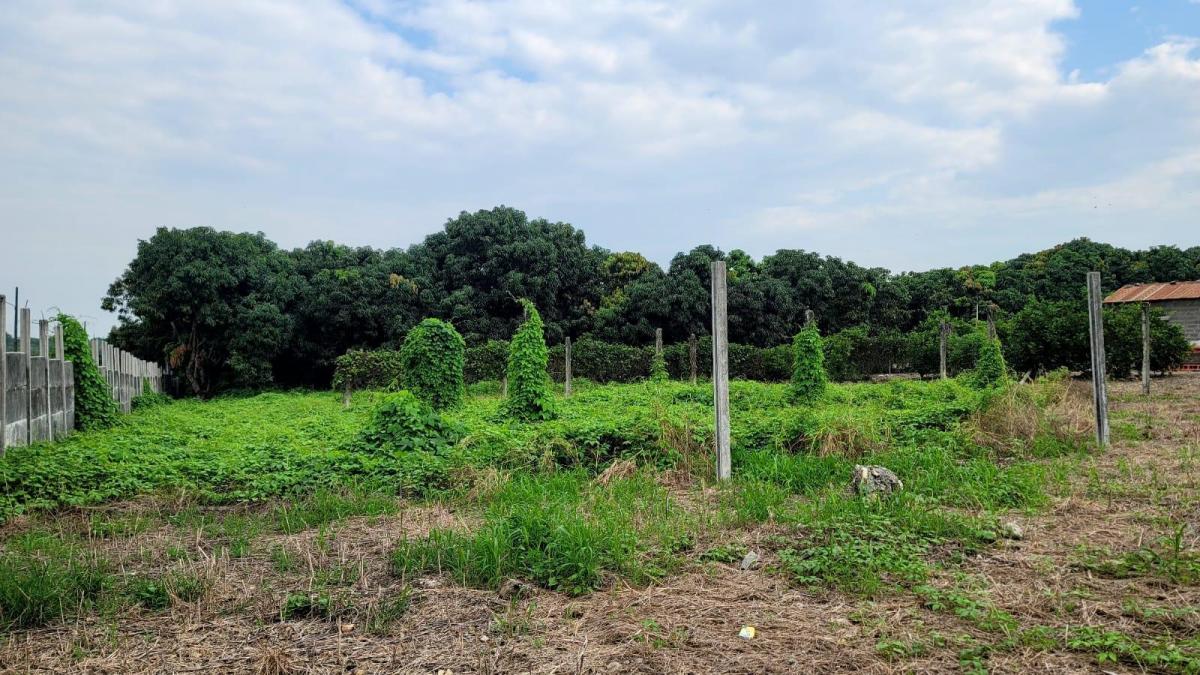 En Venta Terreno de 130.818 m en Vía a La Costa - Km 15 - Mae. Recalde, Guayas — imagen 7