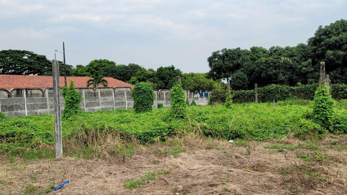 En Venta Terreno de 130.818 m en Vía a La Costa - Km 15 - Mae. Recalde, Guayas — imagen 6