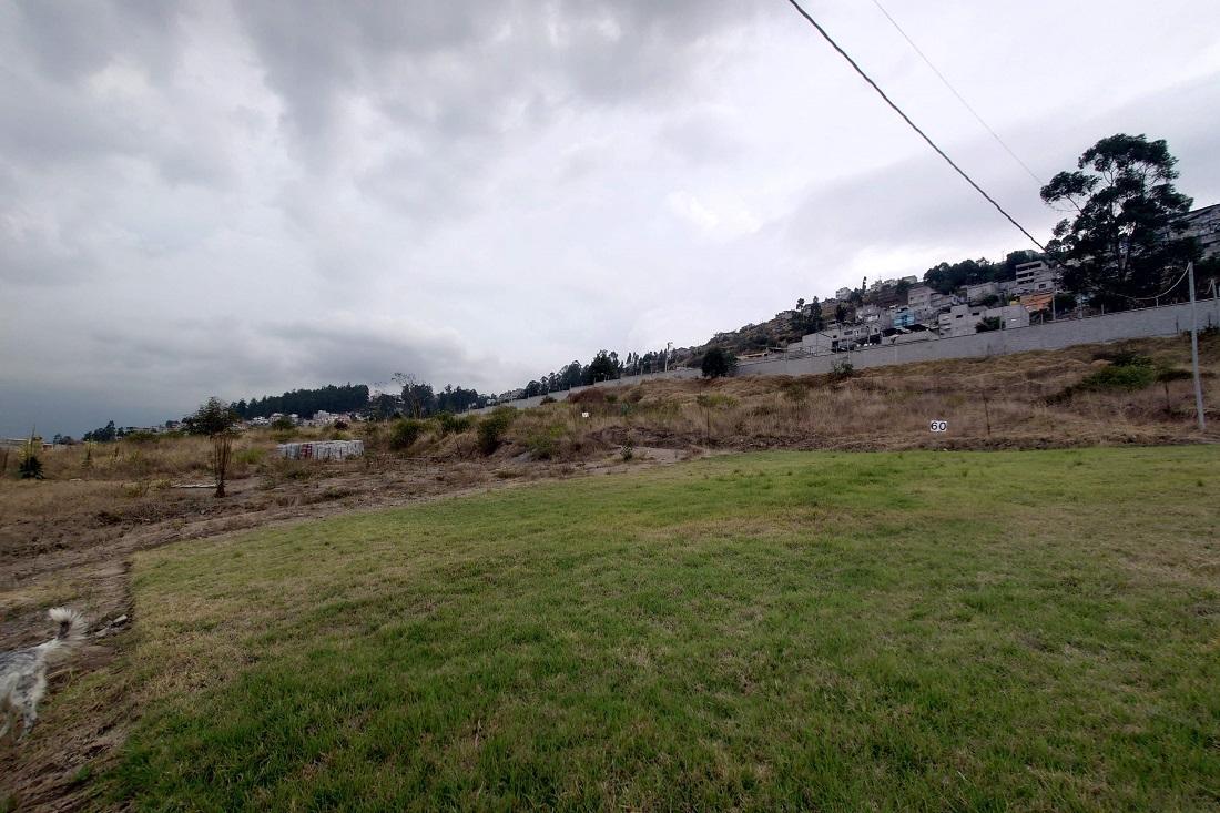 Lotes de Terreno. Carmen Bajo a 8 Minutos de Solca — imagen 5