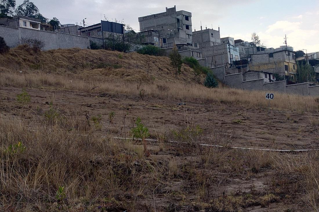 Lotes de Terreno. Carmen Bajo a 8 Minutos de Solca — imagen 4
