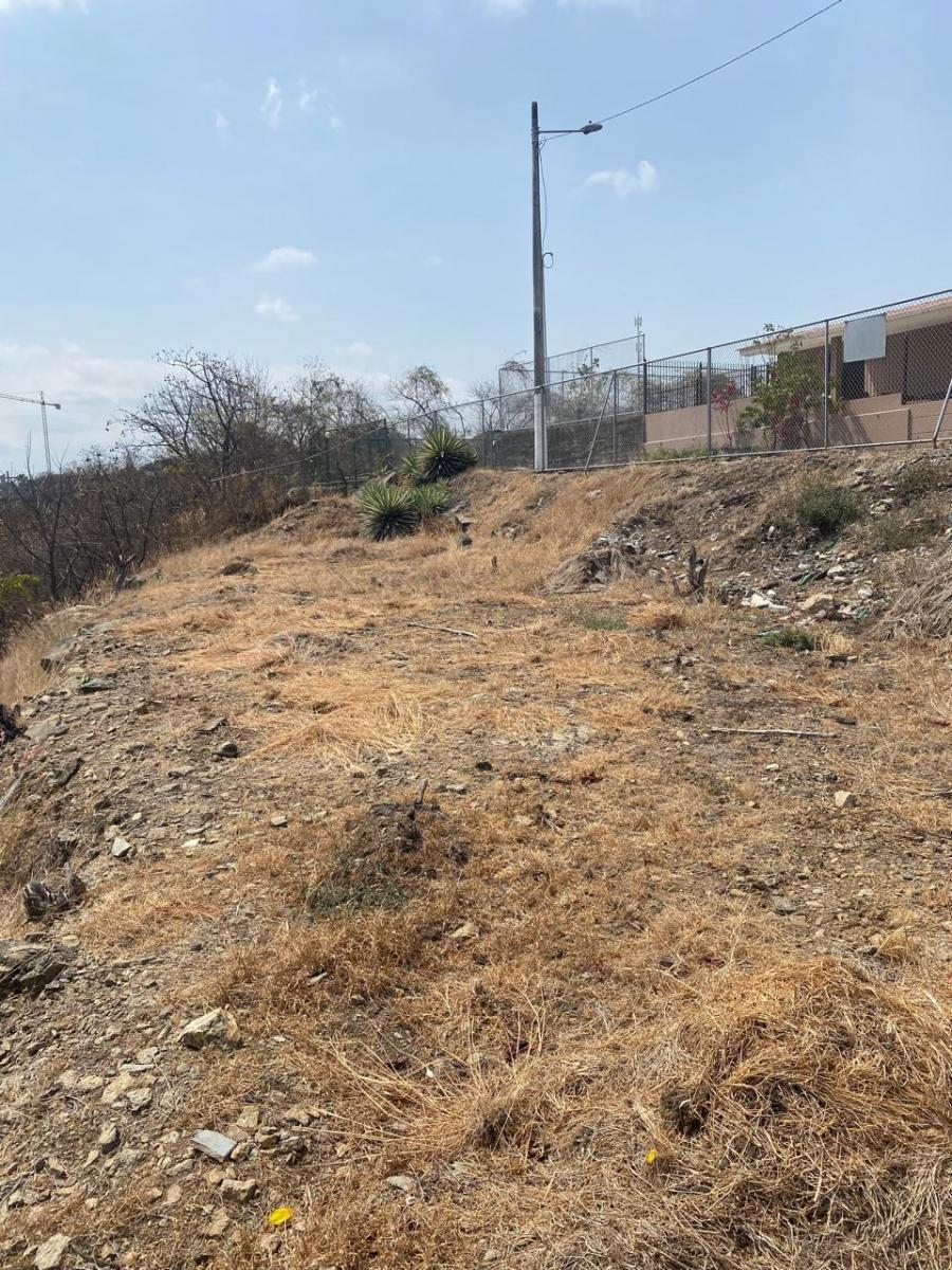 Venta de Dos Terrenos Juntos en Urb. Cumbres - Guayaquil, Guayas — imagen 9