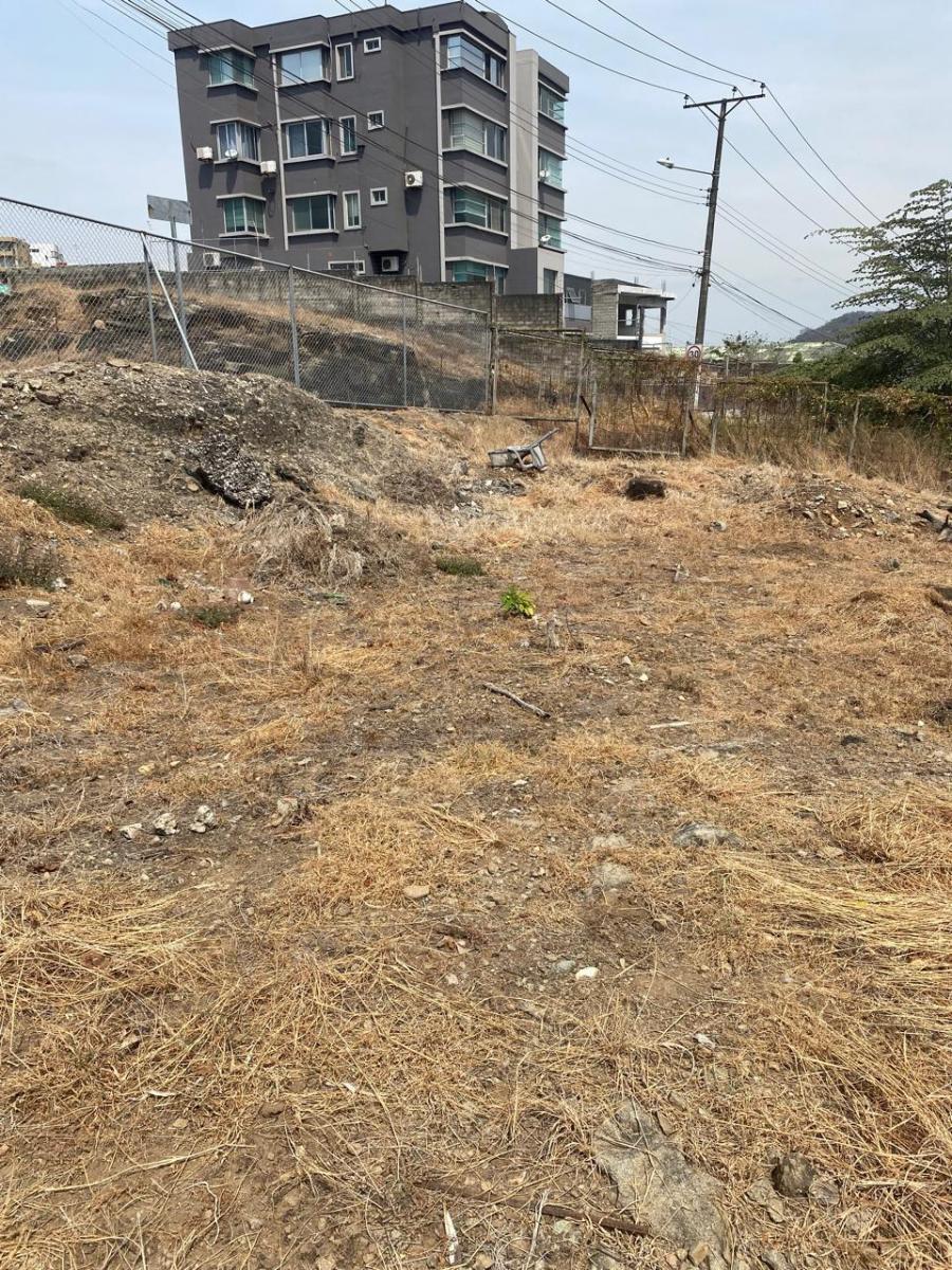 Venta de Dos Terrenos Juntos en Urb. Cumbres - Guayaquil, Guayas — imagen 3