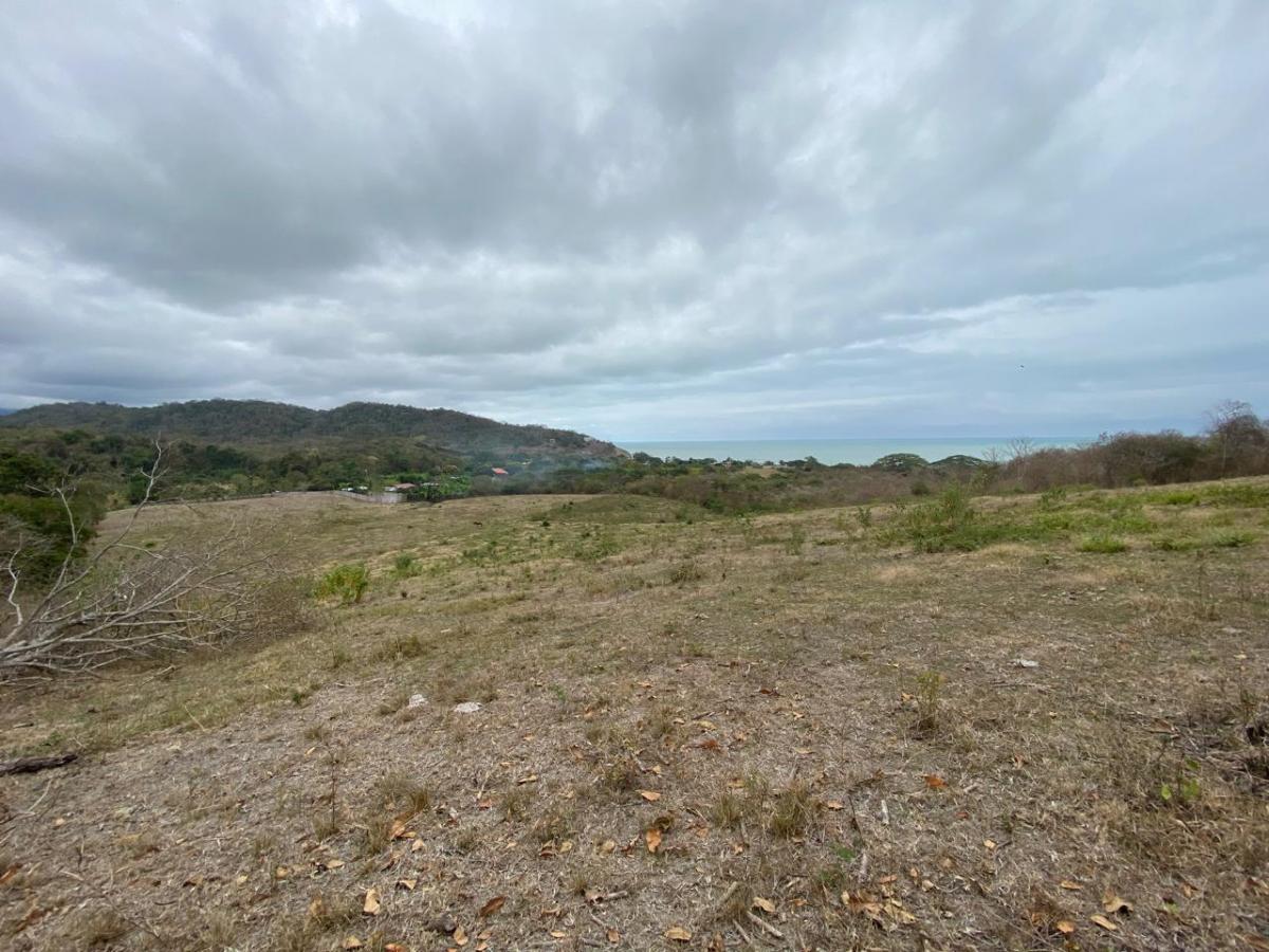 Venta de Terrenos 6 Has en Sector La Cabuya Via Jama Pedernales, Manabí — imagen 10