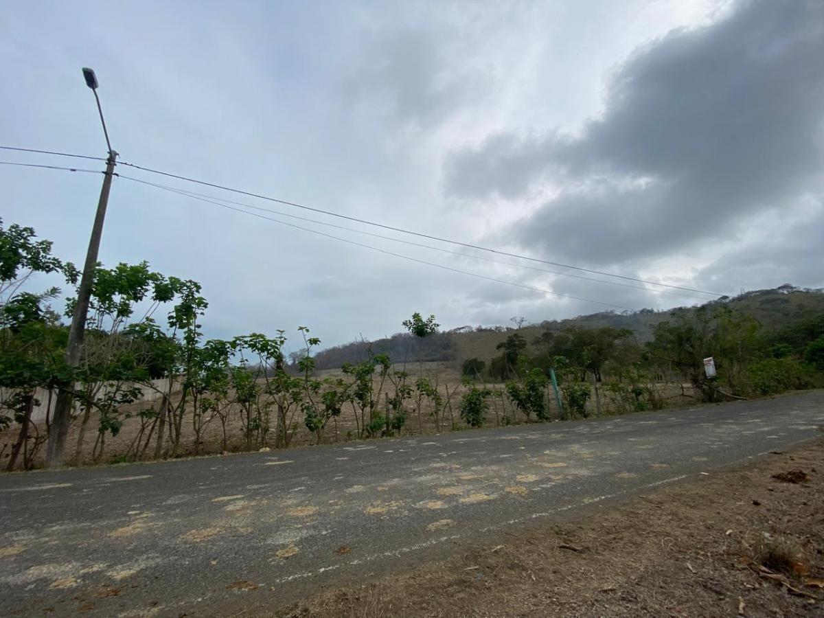 Venta de Terrenos 6 Has en Sector La Cabuya Via Jama Pedernales, Manabí — imagen 6