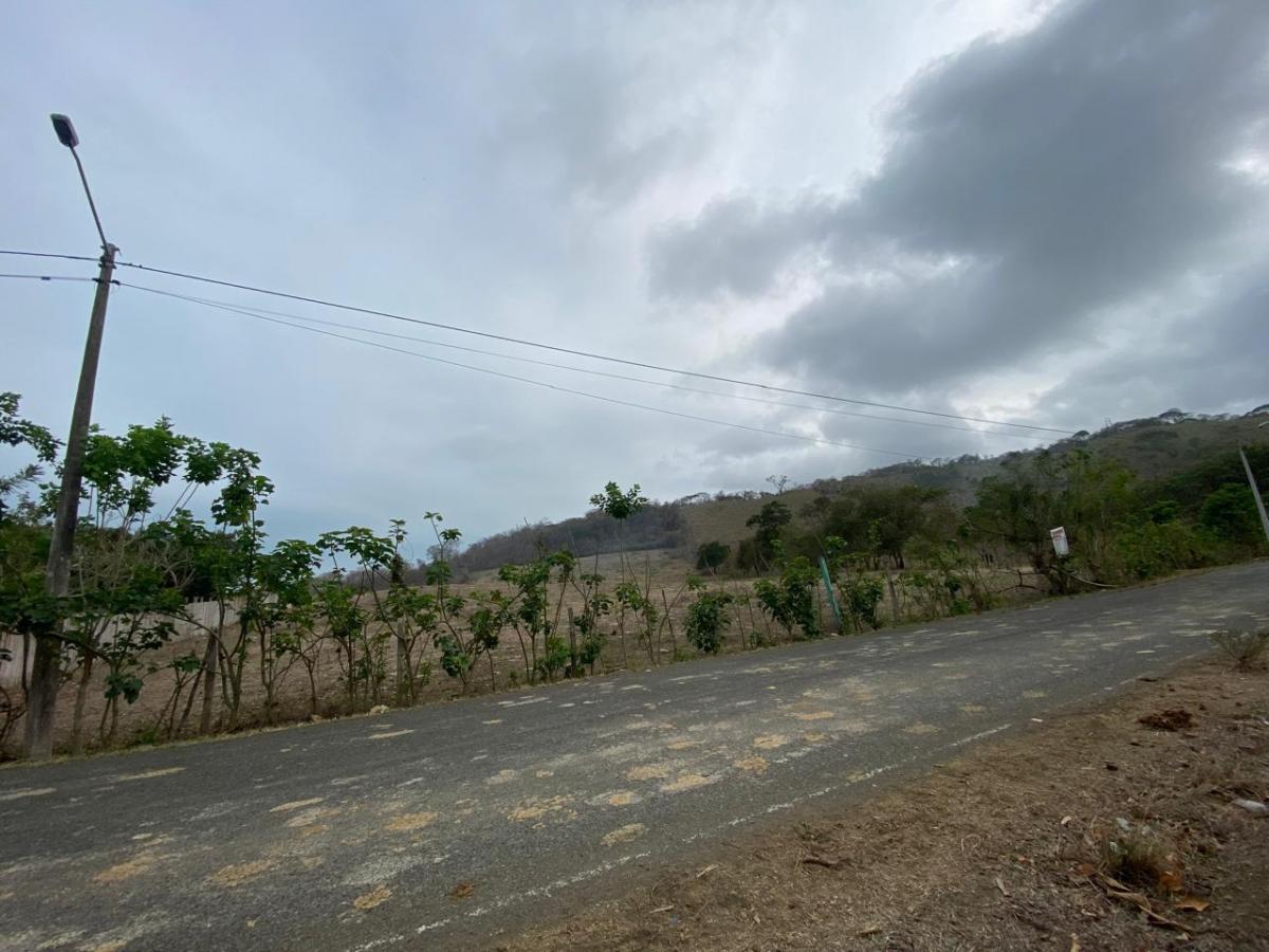 Venta de Terrenos 6 Has en Sector La Cabuya Via Jama Pedernales, Manabí — imagen 5