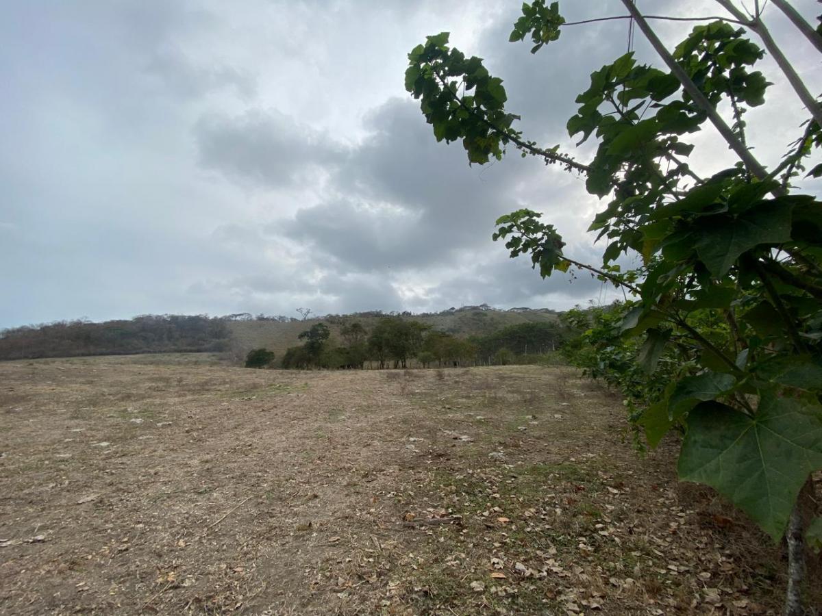 Venta de Terrenos 6 Has en Sector La Cabuya Via Jama Pedernales, Manabí — imagen 4